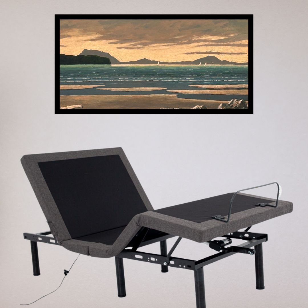 Sleep like a pro in the Harmony Pro lifestyle adjustable bed!